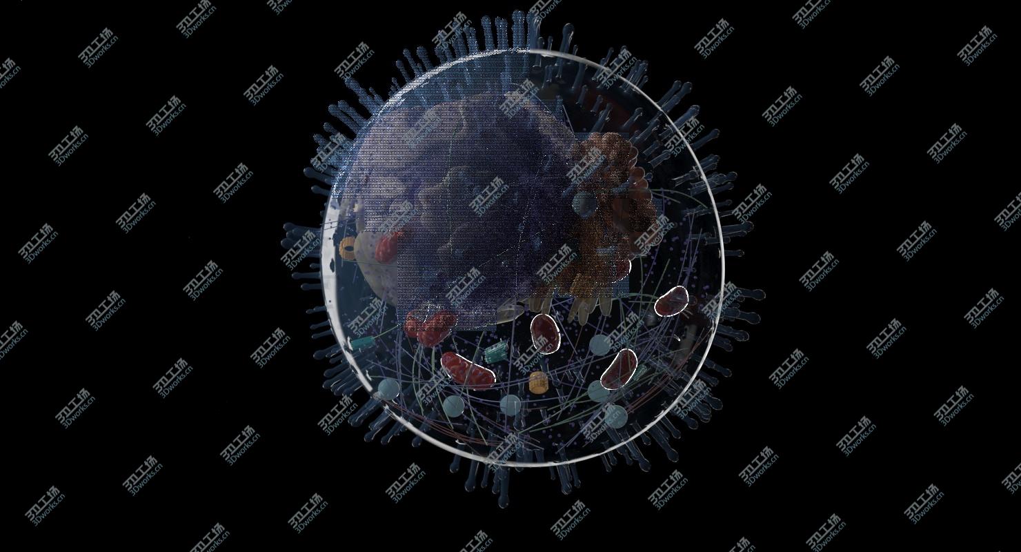 images/goods_img/2021040235/3D Human Cell/4.jpg